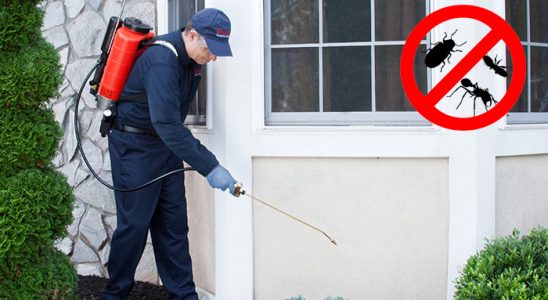 Korgun Böcek ve Haşere İlaçlama böcek ilaçlama ve haşere kontrolü — ilaclama-tr.com